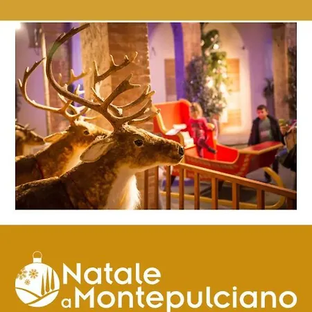 Holiday home Didi House Montepulciano